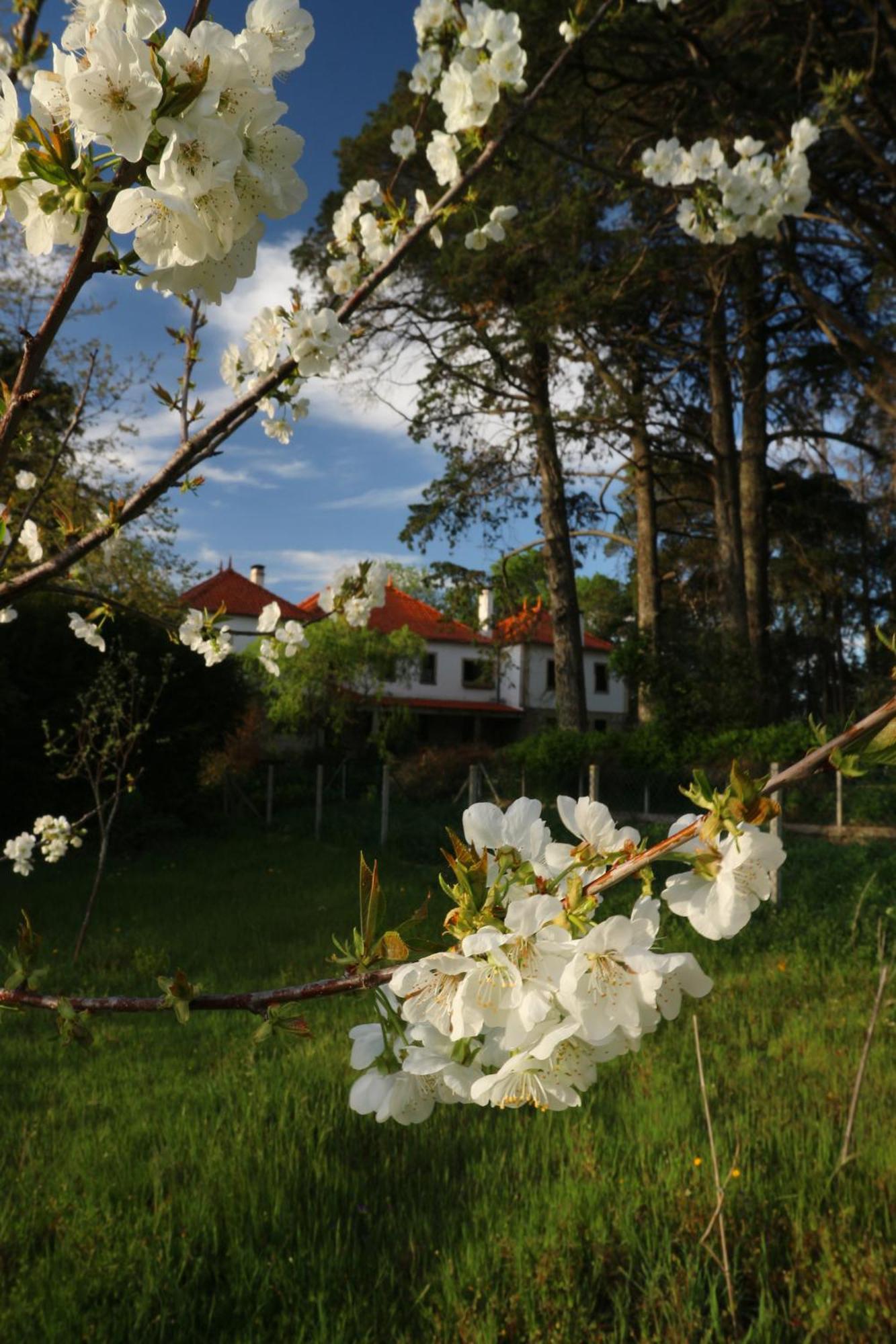 Lugar Da Pedra Alta - B&B - Private Historical Villa Melo Exterior photo